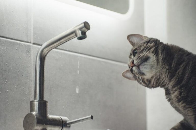 Вінниця без води: які будинки потраплять під відключення 3 жовтня