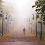 Туман, ожеледь і заморозки: якою буде погода на Вінниччині 21 жовтня
