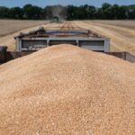 Вінниччина зібрала понад 2,5 млн тонн зерна: аграрії продовжують жнива