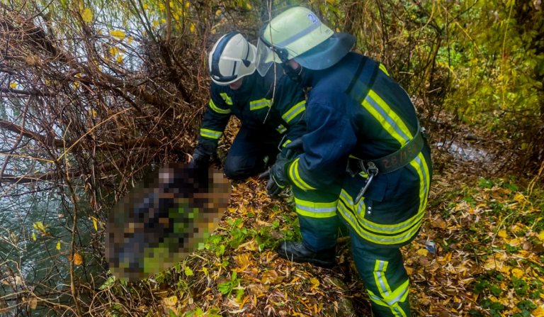 Без ознак життя: на Вінниччині рятувальники дістали тіло чоловіка з водойми