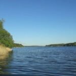 Гучна справа на Вінниччині: незаконно орендовану водойму повернуть у комунальну власність