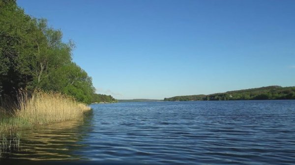 Гучна справа на Вінниччині: незаконно орендовану водойму повернуть у комунальну власність