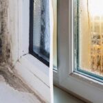 Щоб не було цвілі і конденсату: названий точний час, коли треба відкрити вікна на провітрювання