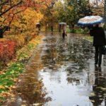 Очікується дощ: якою буде погода у Вінниці 5 листопада