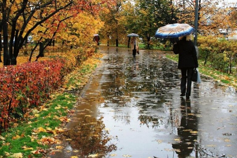 Очікується дощ: якою буде погода у Вінниці 5 листопада