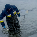 З Вишенського озера у Вінниці рятувальники витягли тіло жінки