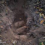 На Вінниччині знайшли артснаряди часів Другої світової