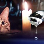 Вінничан попереджають про відключення води та світла 28 листопада