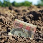 Вінничанка «вкрала» державну землю: справа передана до суду