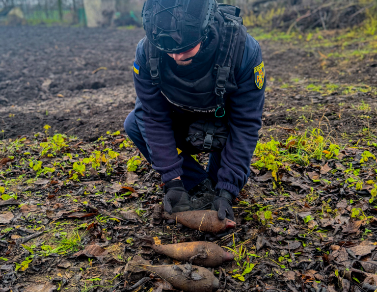 Небезпечні знахідки під ногами: на Вінниччині виявили чотири боєприпаси минулих війн