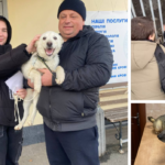 У Вінниці собаки з муніципального притулку для тварин отримали новий дім