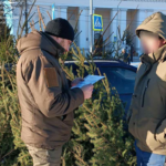 На Вінниччині викрили незаконний продаж новорічних ялинок
