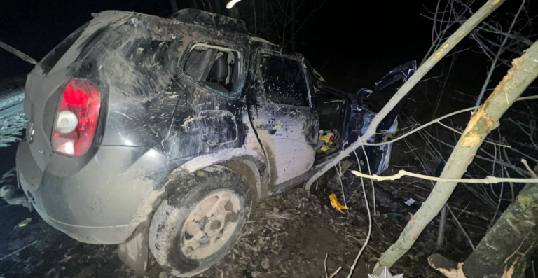 Авто перекинулося та врізалася в дерево: у Могилів-Подільському трапилася моторошна ДТП