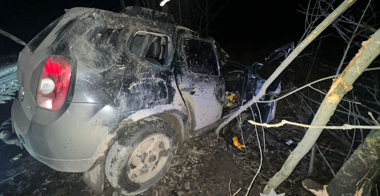 Авто перекинулося та врізалася в дерево: у Могилів-Подільському трапилася моторошна ДТП
