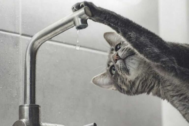 Мешканців Вінниці закликають запастися водою: у місті вимкнуть водопостачання 4 грудня