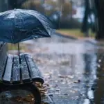 Якою буде погода 10 грудня у Вінниці та Вінницькій області: прогноз синоптиків
