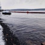 Чи загрожує екологічна небезпека Ладижинському водосховищу: офіційні дані