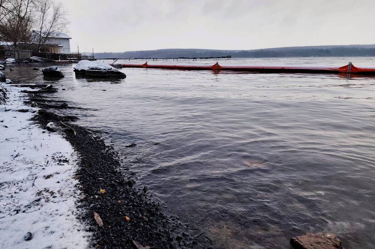 Чи загрожує екологічна небезпека Ладижинському водосховищу: офіційні дані