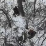 Росіяни розстріляли двох полонених бійців ЗСУ на Донеччині