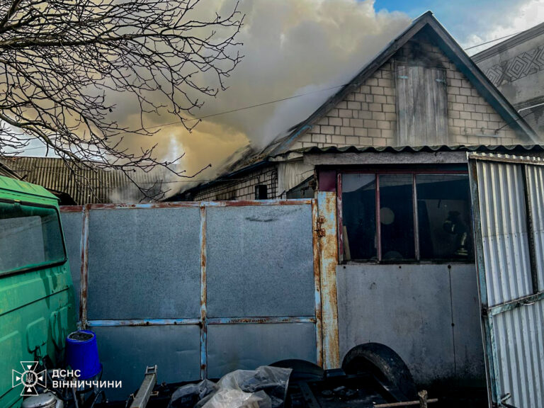 Шість тонн сіна та худоба: пожежа на Вінниччині знищила господарство