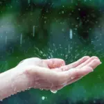 close-up-wet-female-hands-rain