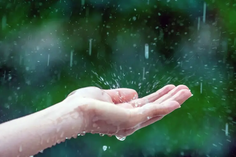 close-up-wet-female-hands-rain