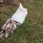 У річці на Вінниччині браконьєр ловив рибу у зимувальній ямі