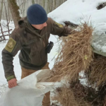 Диким тваринам у Вінницькій області допомагають пережити зиму: як відбувається підгодівля