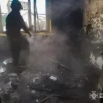 Дві родини на Вінниччині втратили близьких через пожежі