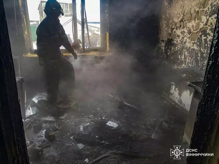 Дві родини на Вінниччині втратили близьких через пожежі
