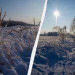Аномальна погода біля Чорнобиля стала випробуванням для диких тварин (фото)