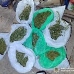 У Тульчинському районі жінка зберігала канабіс у власному будинку