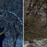 Вінниччина в заметах та вогні: чим запам’яталася доба для рятувальників