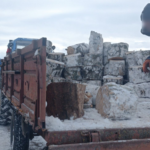 На Вінниччині викрили незаконну рубку дерев у полезахисній лісосмузі