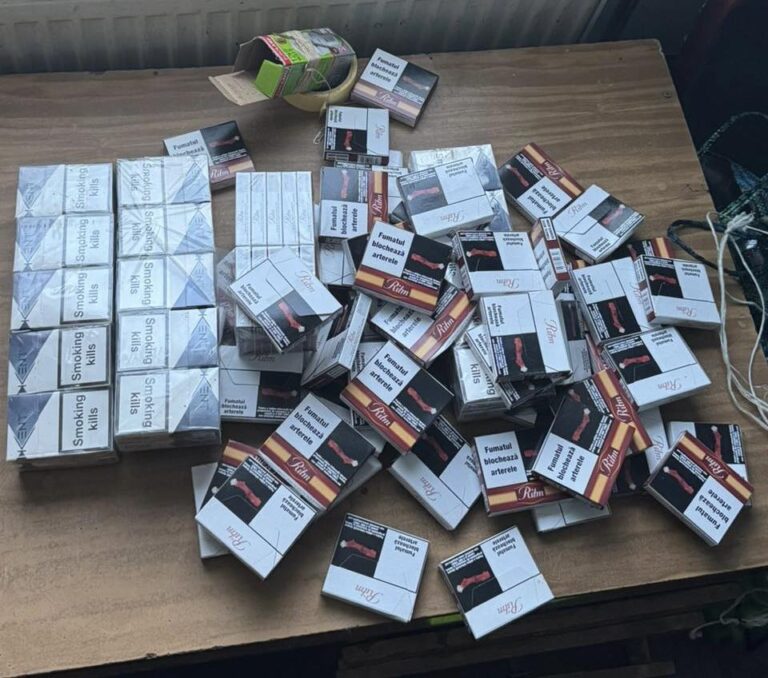 612193781_1747213292865611_408461586016047137_n
