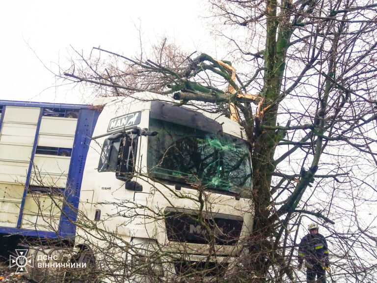 Під час снігопадів та морозів рятувальники Вінниччини підтримують водіїв на дорогах