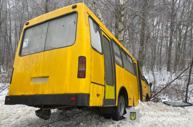 Рейсовий автобус з’їхав у кювет на Вінниччині: водій і пасажирка травмовані