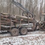 Незаконна «подорож» лісоматеріалів на Вінниччині: поліція з’ясує обставини