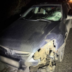 Смертельна ДТП на Вінниччині: під колесами авто загинула 77-річна жінка