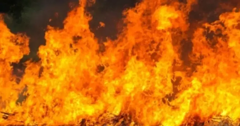 У Теплицькій громаді під час пожежі в будинку загинула жінка