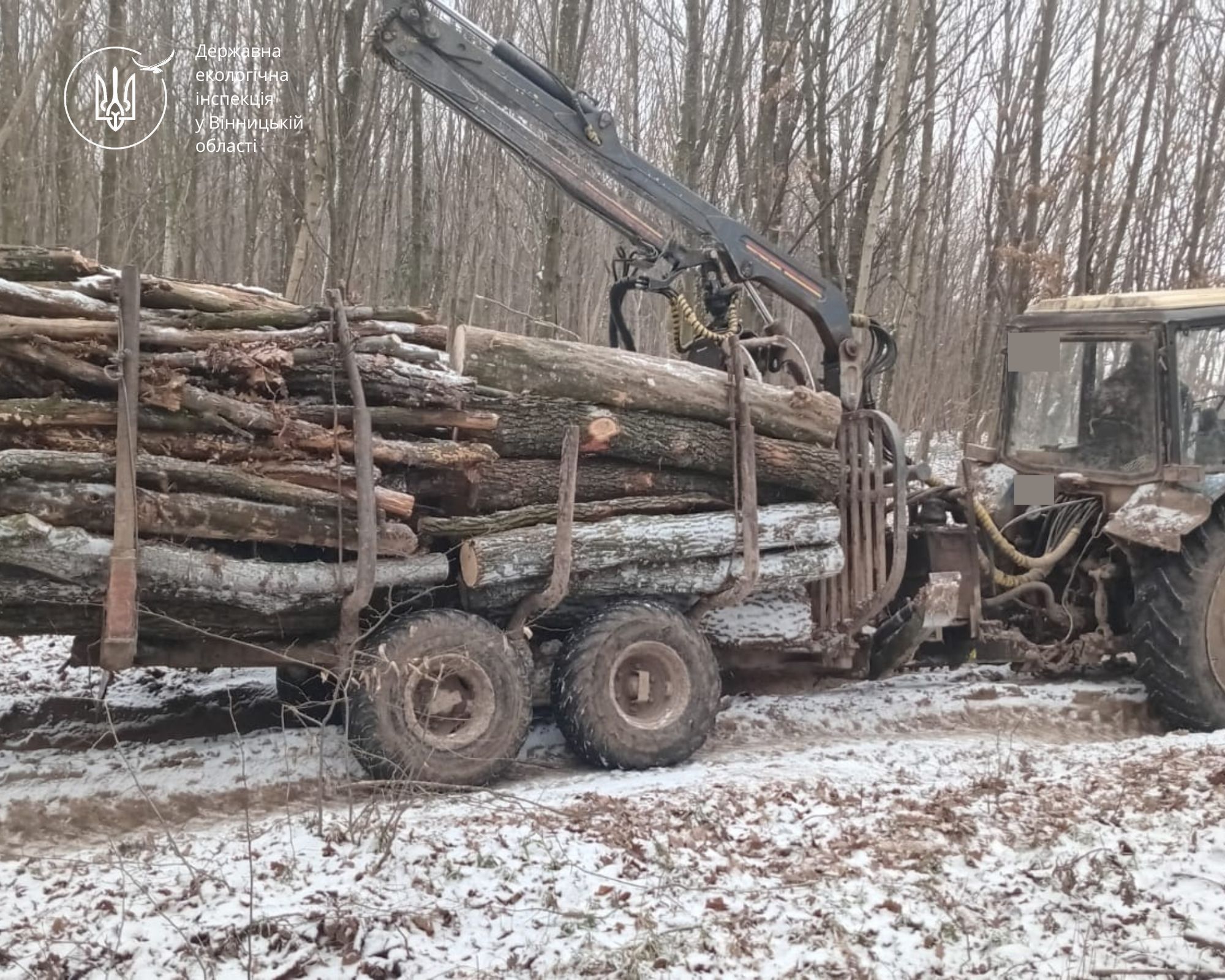 Незаконна «подорож» лісоматеріалів на Вінниччині: поліція з’ясує обставини