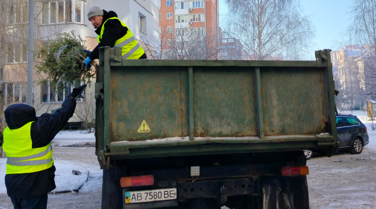 Новорічні дерева не в смітник: у Вінниці ялинки переробляють на користь міста
