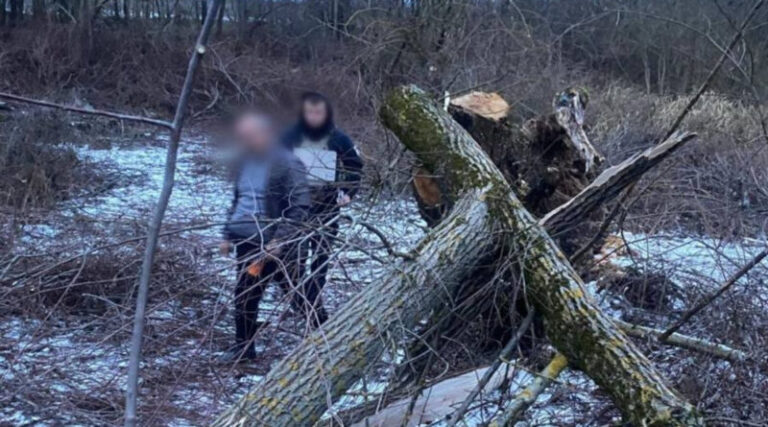 Mukachevo-Region-Police-Investigate-Death-of-8-Year-Old-Girl-Who-Was-Hit-by-a-Falling-Tree-800x445