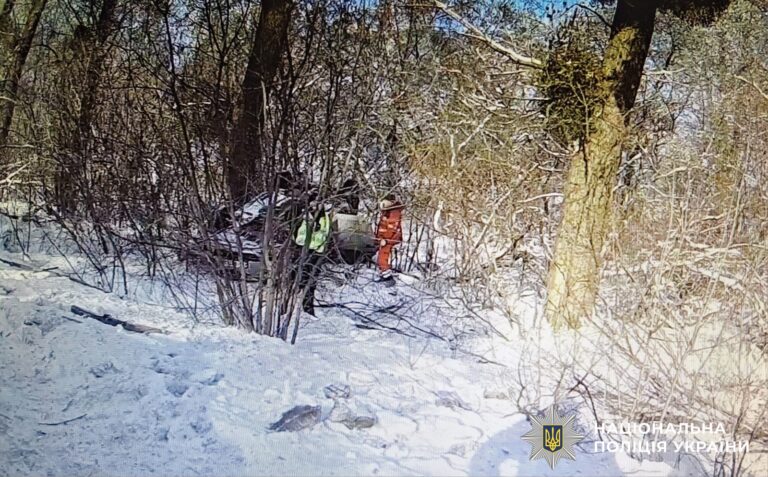 Правоохоронець допоміг пораненому військовому та його дружині після ДТП (відео)