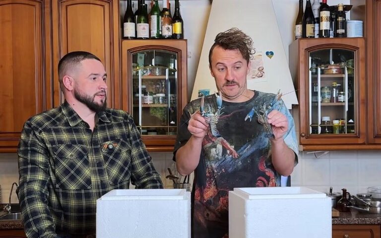 Клопотенко оцінив блакитних раків, яких вирощує ветеран на Вінниччині