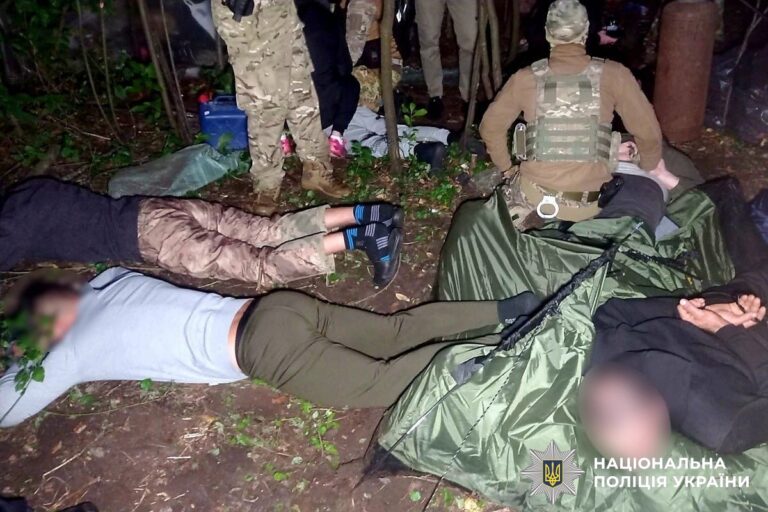 На Вінниччині судитимуть банду наркоторговців, яка виростила 3 тис. кущів конопель у лісі