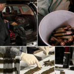 Набої у коробці з-під елітного алкоголю: на Вінниччині затримали водія з боєприпасами