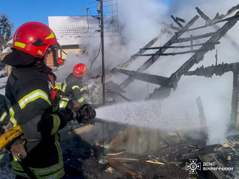 Горіли домівки, альтанки та шини: які наслідки пожеж у Вінницькій області