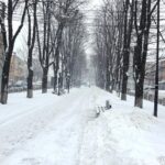 Снігопади насуваються на Вінниччину: як підготуватися водіям та пішоходам