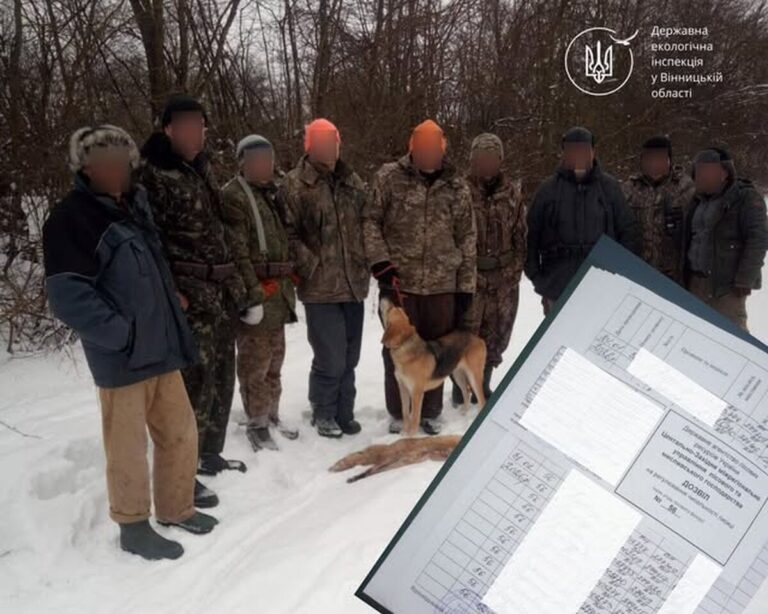 На Вінниччині перевірили законність полювання на диких тварин